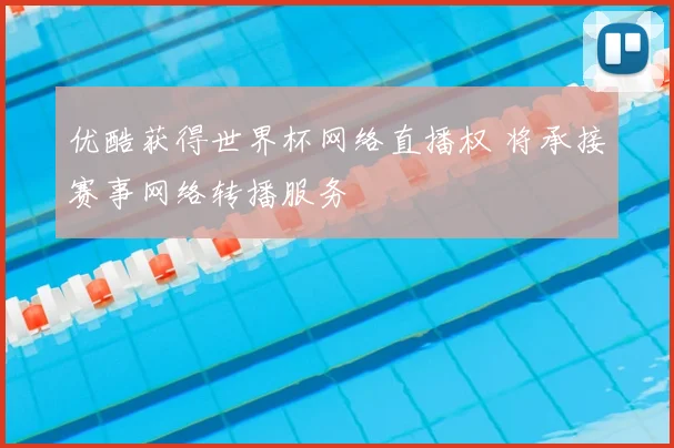 优酷获得世界杯网络直播权 将承接赛事网络转播服务
