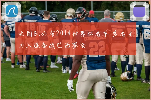 法国队公布2014世界杯名单 多名主力入选备战巴西赛场